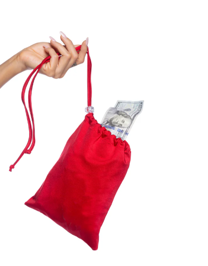 Spandex Iridescent Money Bag - 6731 Black