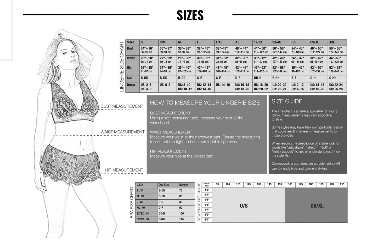 Darque Wet Look Teddy D9357