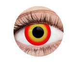 EyeFX Yearly Contact Lenses