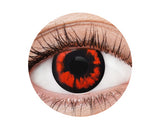 EyeFX Yearly Contact Lenses