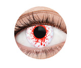 EyeFX Yearly Contact Lenses