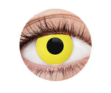 EyeFX Yearly Contact Lenses