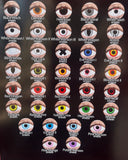 EyeFX Yearly Contact Lenses