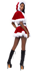 4PC North Pole Vixen - 6214