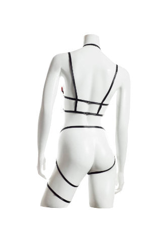 Raveware Lingerie Ambrosia Rosa Halter Two-Piece Set LRSAB8090