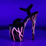 FLAMINGO-809NLB Black Hot Pink Neon